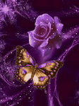 pic for Rose with Butterfly